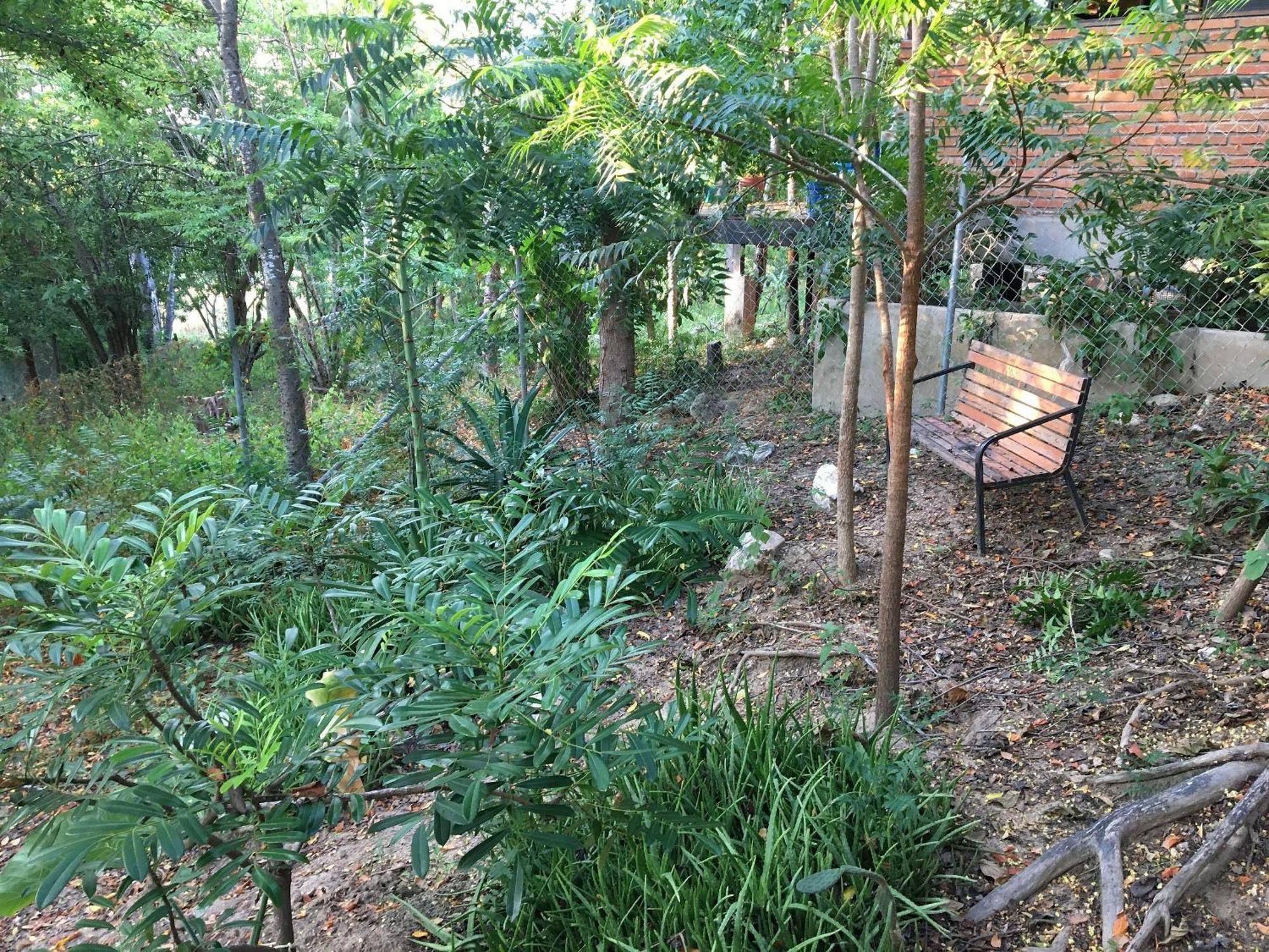 Centro Sati Bungalow Cuatunalco Ngoại thất bức ảnh